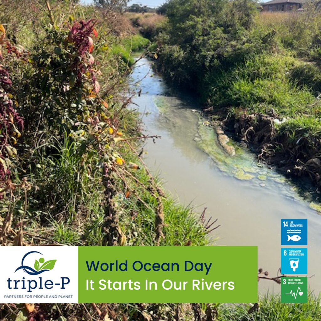 8 June Is World Oceans Day