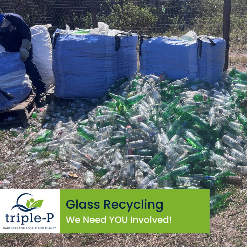 Join the Glass Recycling Movement!