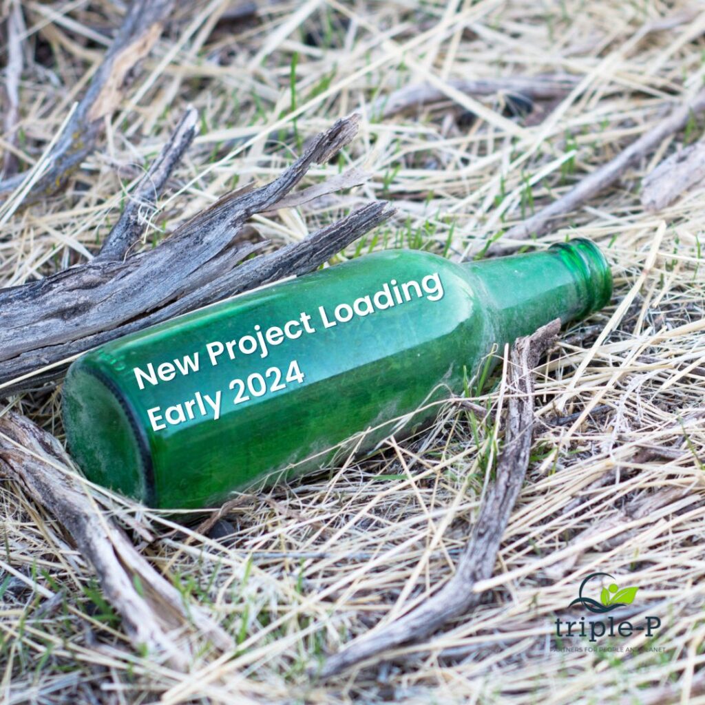 New Project For 2024