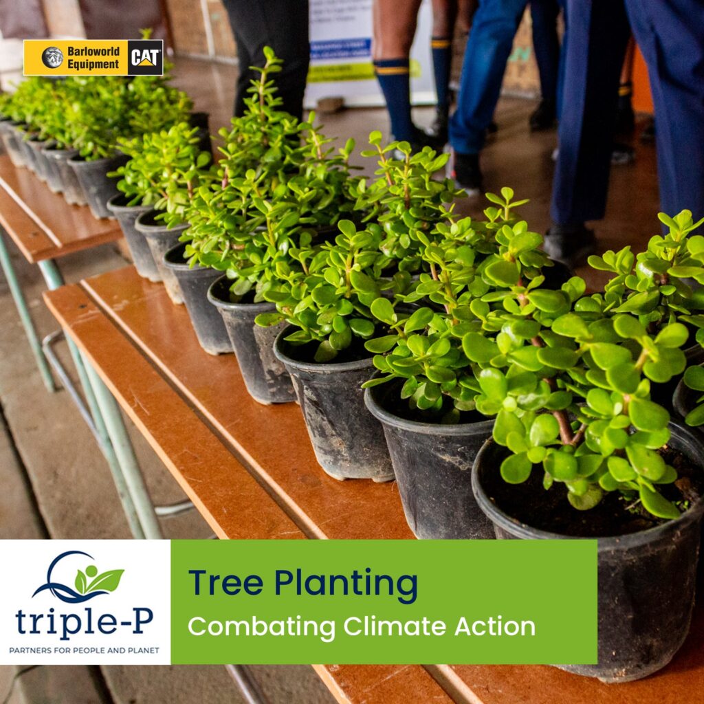 Our Climate Action Commitment