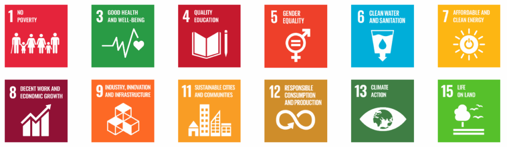 SDG Delivery-12-goals