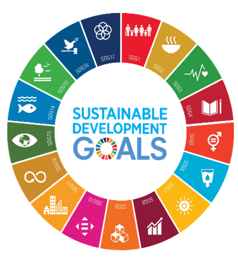 SDG Delivery